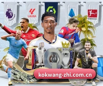 kok网址 APP