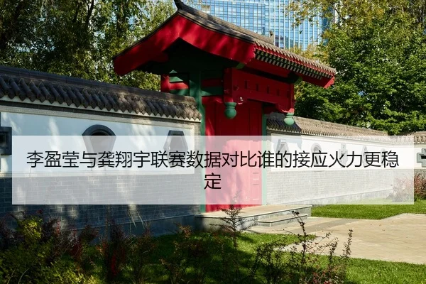 李盈莹与龚翔宇联赛数据对比谁的接应火力更稳定